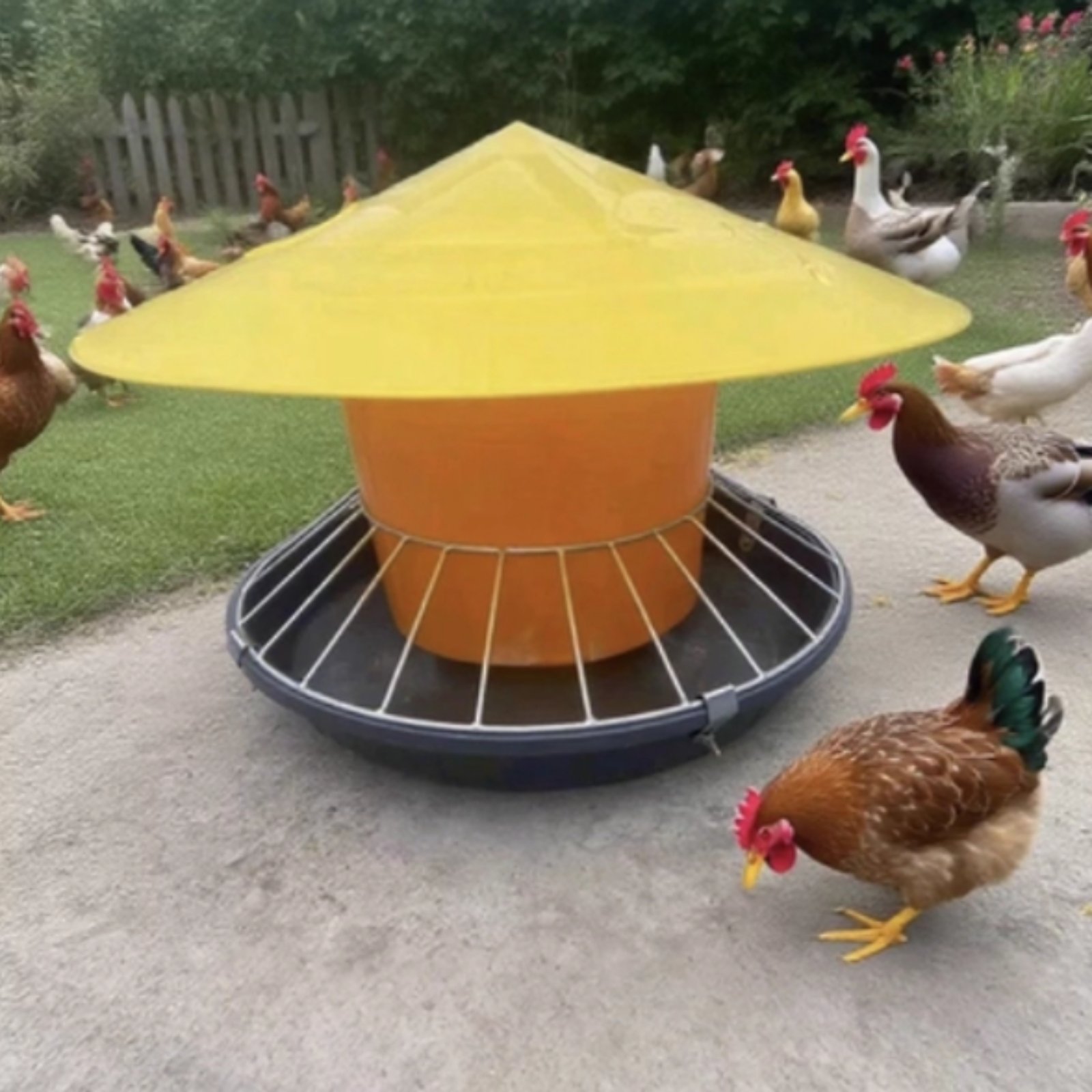 Round Fowl Feeder Large Capaci - Feeding recension och pris