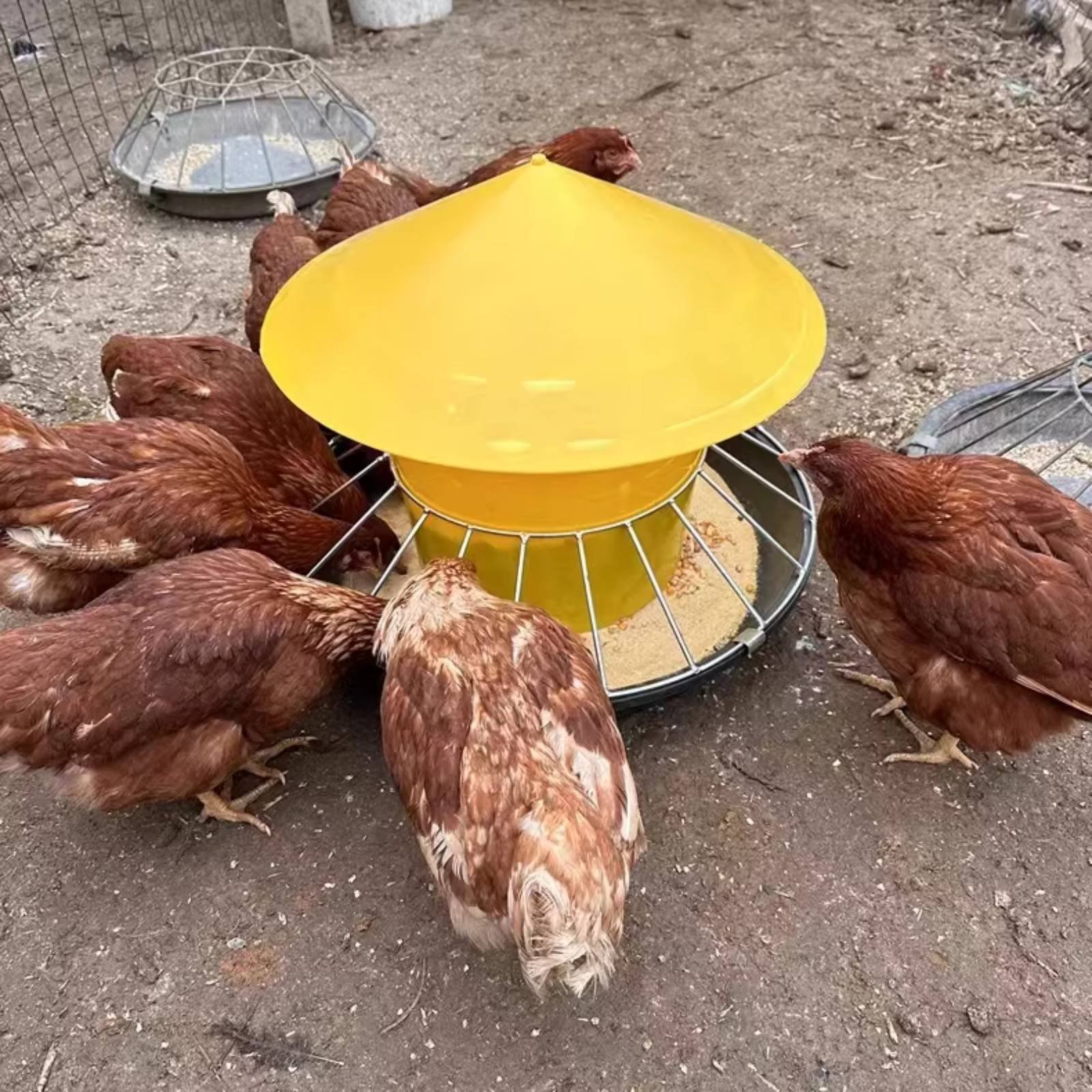 Round Fowl Feeder Large Capaci - Feeding recension och pris