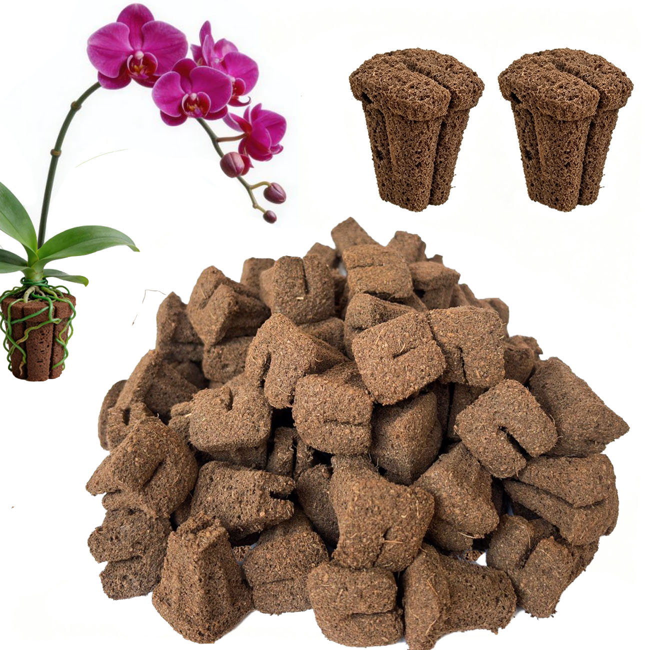 Hydroponic Rapid Grow Rooting  - Nursery recension och pris