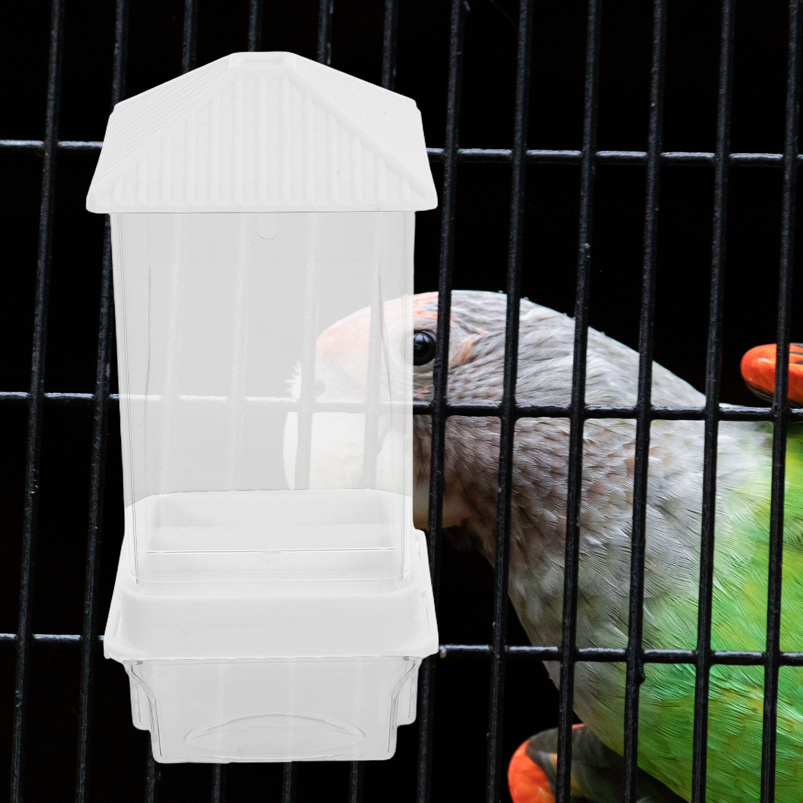 Automatic Bird Feeder Plastic  - Feeding recension och pris