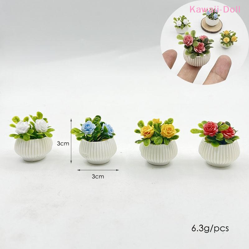 1Pcs Miniature Mini Rose Plant - Diapering recension och pris
